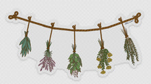 Load image into Gallery viewer, Drying Herbs Sticker
